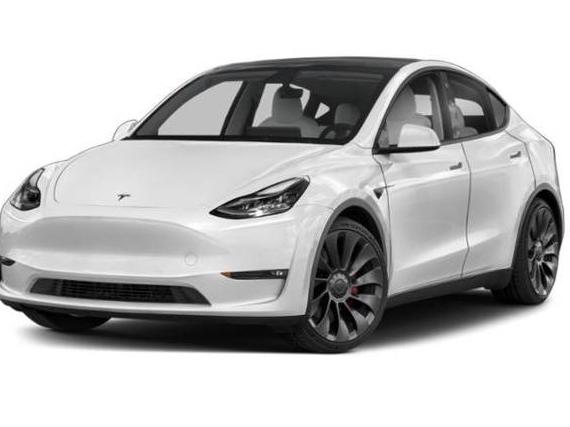 TESLA MODEL Y 2020 5YJYGDEE1LF026509 image